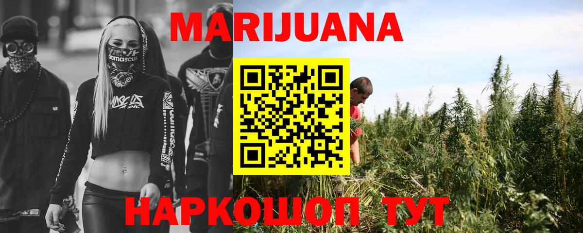 Шишки марихуана семена Лениногорск
